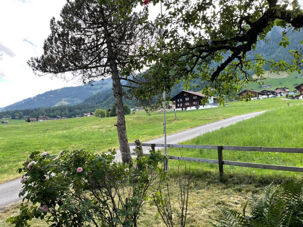 Edelweiss 4 Zi Ferienwohnung In Landhaus Frutigen Zewnętrze zdjęcie
