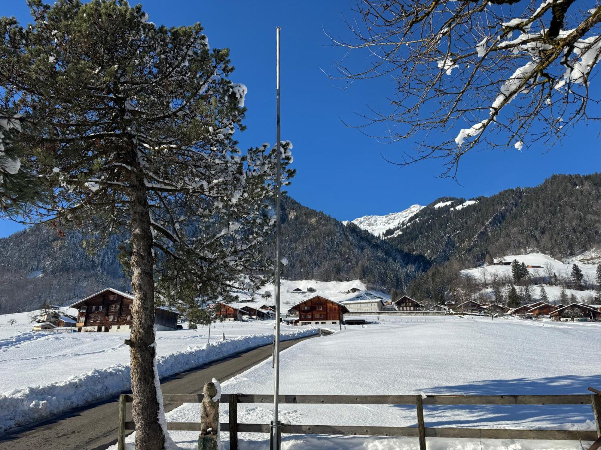 Edelweiss 4 Zi Ferienwohnung In Landhaus Frutigen Zewnętrze zdjęcie